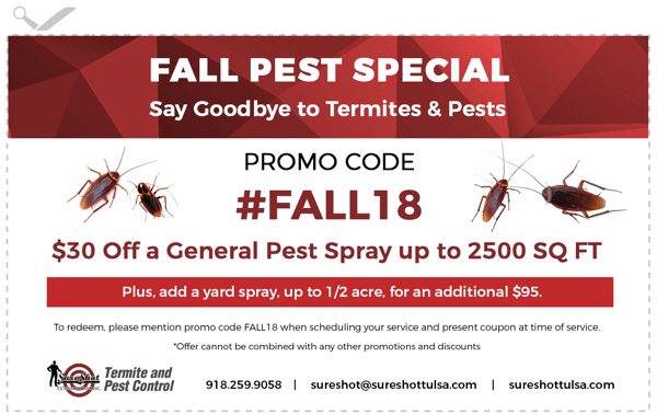 coupon-2018-2