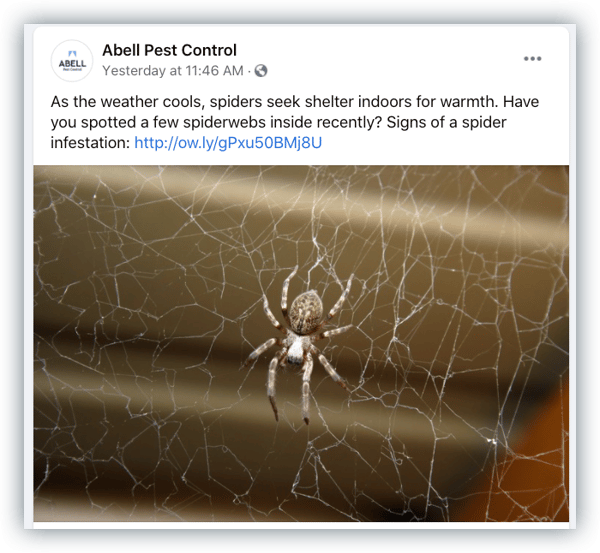 Pest Control Visuals