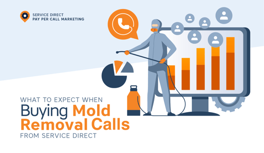 What to Expect When Buying Mold Removal Calls from Service Direct