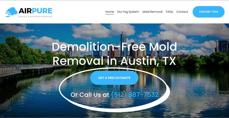 Mold Removal CTA Example