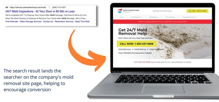 Mold removal Site Page Example PPC