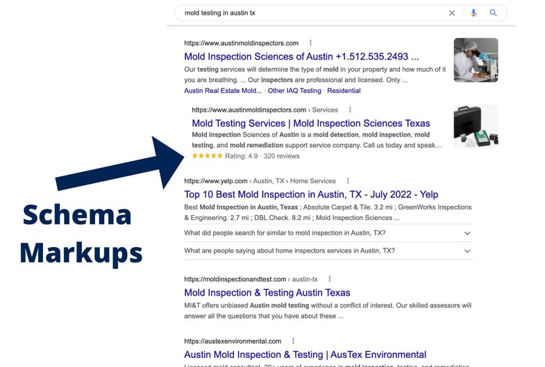 Schema Markups Mold Removal Example