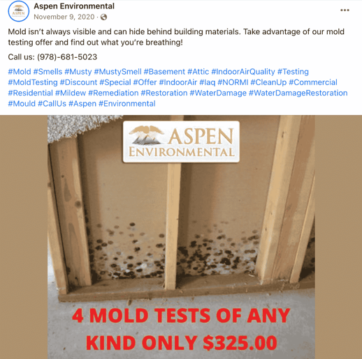 mold-removal-offer-ad-example