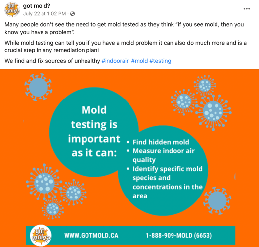 mold-testing-ad-example