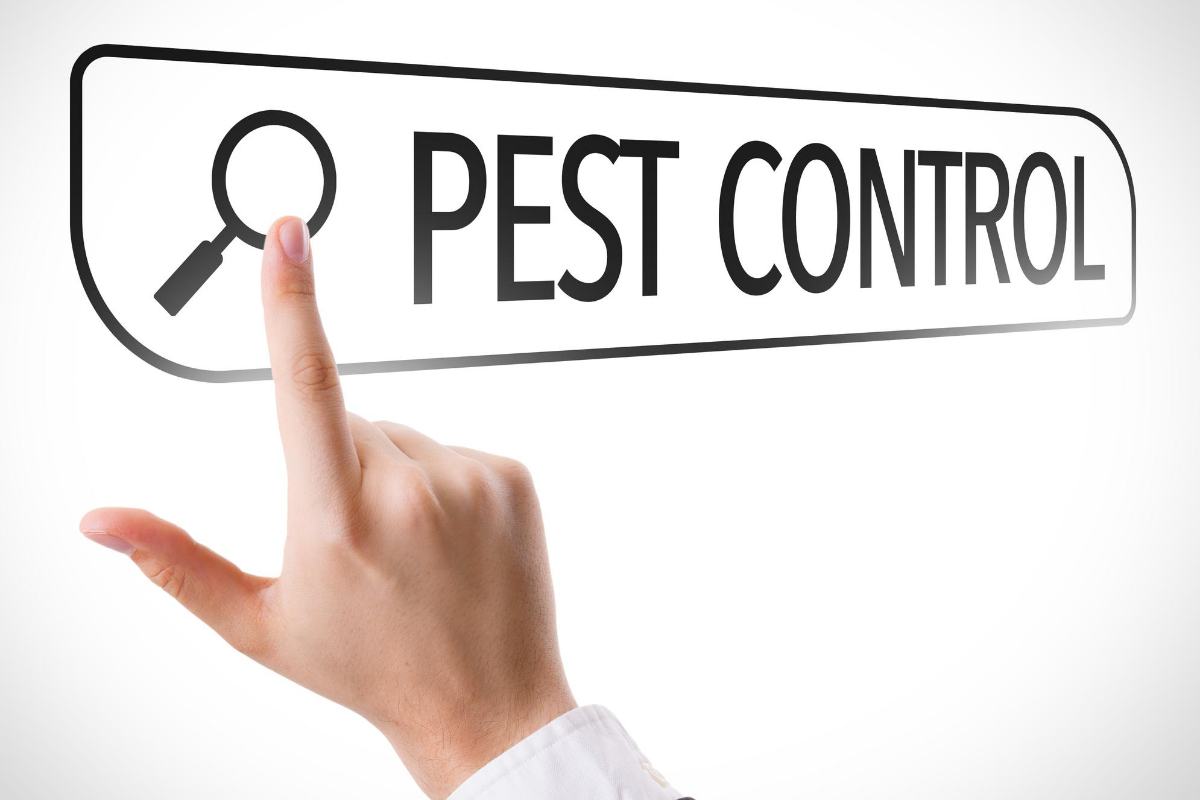 6 Tips for Marketing Your Pest Control Business