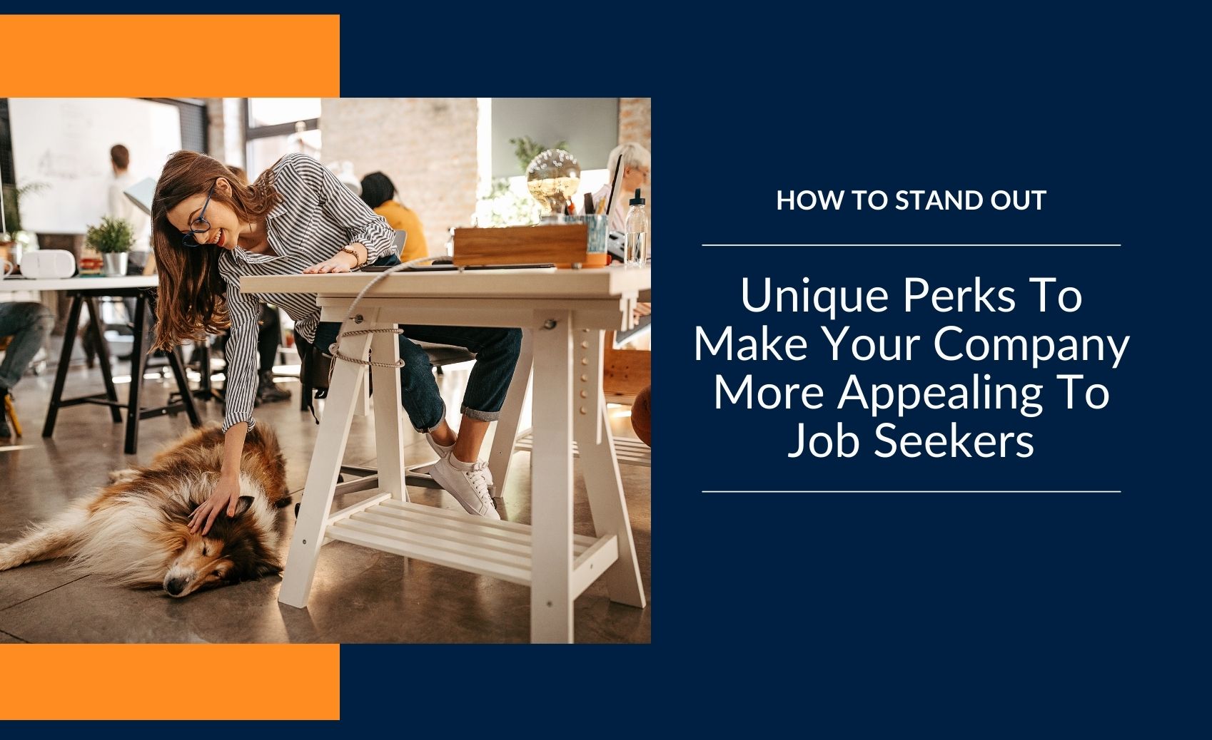Unique Perks To Make Your Company More Appealing To Job Seekers Blog Header